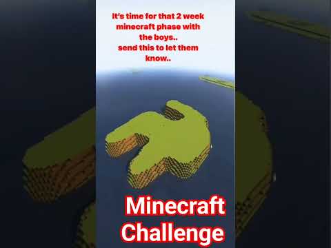 Insane Minecraft House Challenge! 😱 #Minecraft