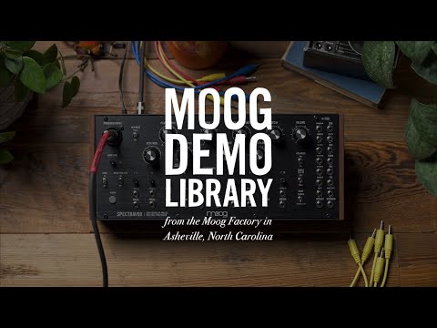 Синтезатор аналогового моделювання MOOG SPECTRAVOX