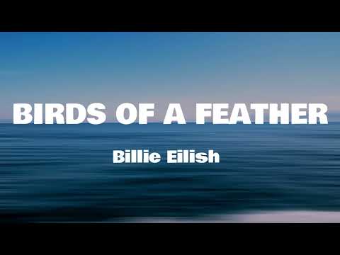 Billie Eilish - BIRDS OF A FEATHER (Lyrics)