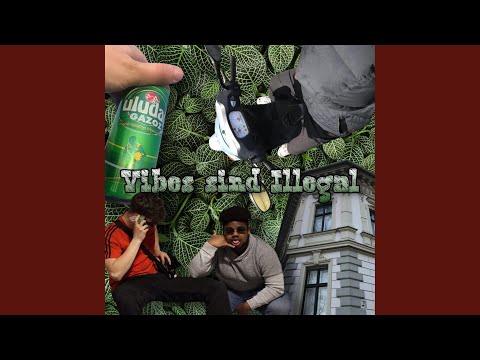Vibes sind Illegal