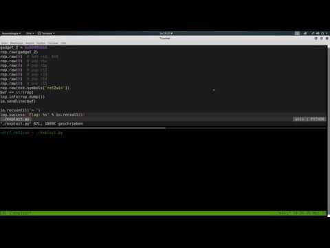 ROP Emporium mit pwntools – 7 ret2csu