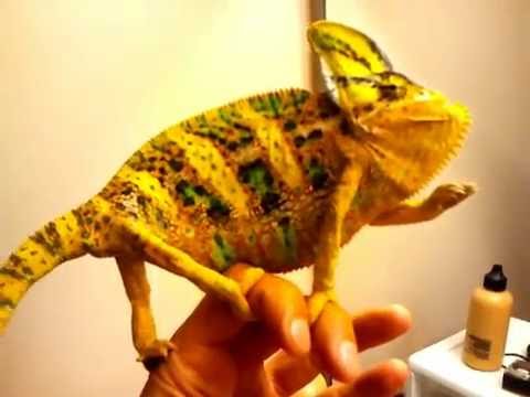 YouTube Video PHU0Xn2B_7M