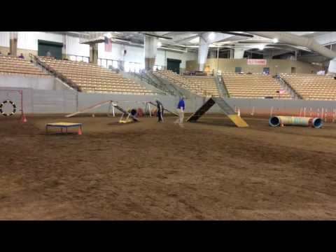 2016 10 08 Switch Master STD