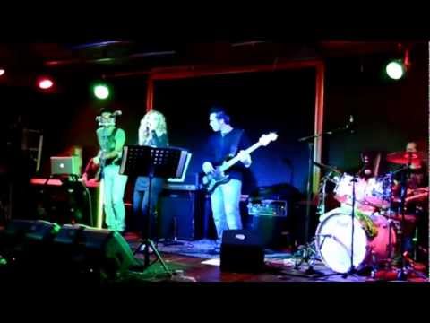 Moonflowers Black Cat - Cover Because the night