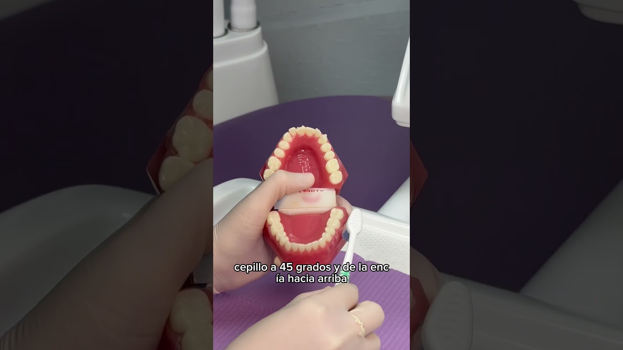 Samantha Gonzalez-28