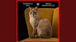 Kadr z teledysku The cat is both alive and dead tekst piosenki Gianluca Gill
