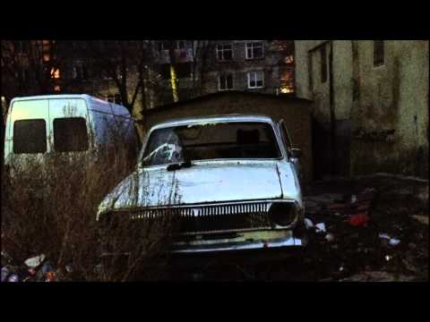 Cicatrice - Lotus Alb