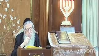 הרה"ג הרב וועכטר שליט"א ח' מנחם אב תשפ"ג - מאמר הרבי הרש"ב תרע"ט (הרב אברהם מנחם מענדל וכטר) - התמונה מוצגת ישירות מתוך אתר האינטרנט יוטיוב. זכויות היוצרים בתמונה שייכות ליוצרה. קישור קרדיט למקור התוכן נמצא בתוך דף הסרטון