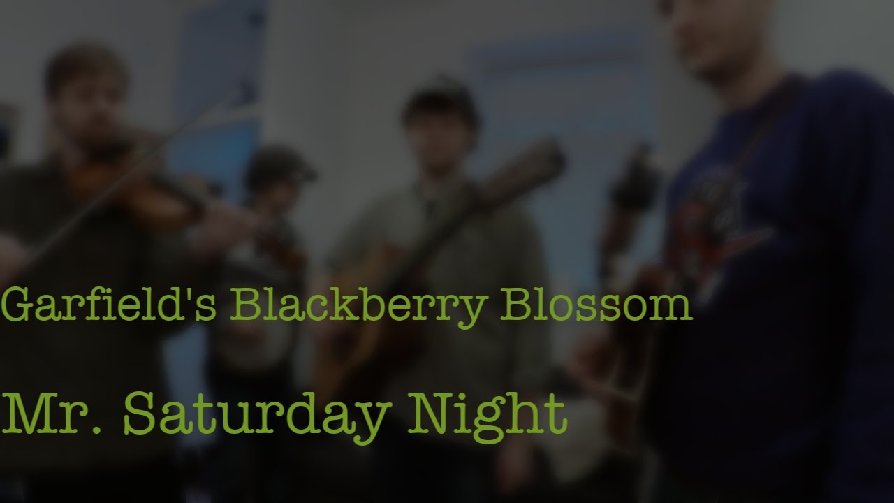 Garfield's Blackberry Blossom