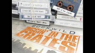 Chubb Rock - What A Year