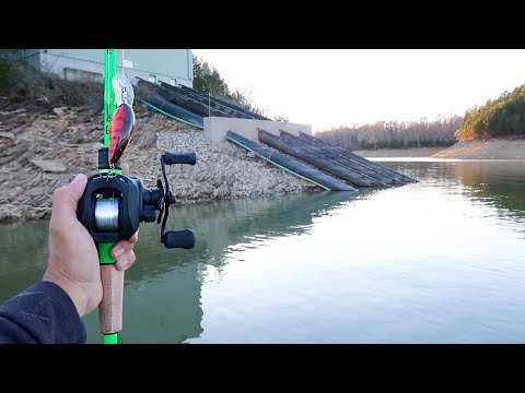 Catching GIANT Bass While Fishing DRAINED Lake Video