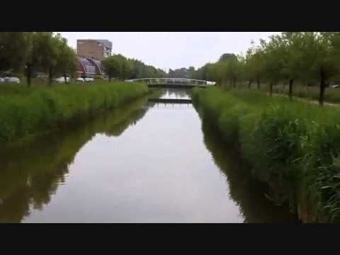 Leidschenveen, daar moet je heen Maarten Willems (clip)