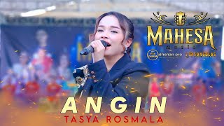 Download lagu ANGIN - TASYA ROSMALA - MAHESA MUSIC LIVE MOJOANYAR MOJOKERTO 2024 mp3