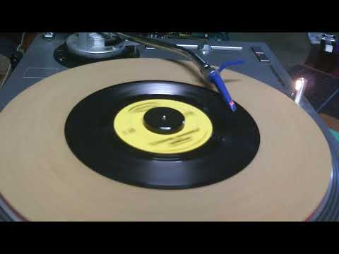 Sunshine Superman l Donovan l 1966 l Styrene