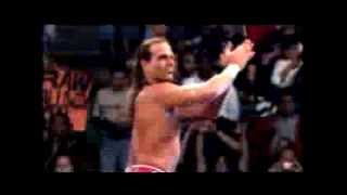 WWE Shawn Michaels all grown up