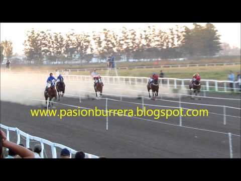 Famous Ryon, 4ta Clasificatoria Polla RDA - Curuzu Cuatia (28-07-13)