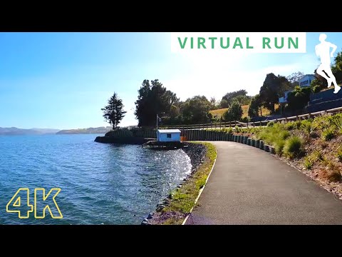 Virtual Running Videos For Treadmill With Music | 30 Minute Virtual Run