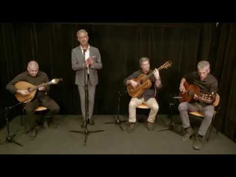 David Ventura  -  Roseira Brava