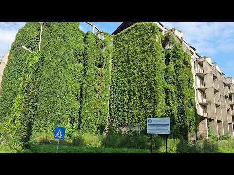 Blocurile fantomă din Hunedoara,  acoperite cu iederă