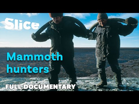 The white gold of the tundra: trading mammoth ivory | SLICE | FULL DOCUMENTARY
