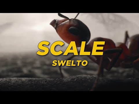Video thumbnail for Scale
