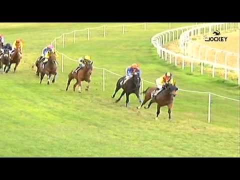 2 Carrera, premio Peña Hípica El Búcaro, 10 de enero 2016 - Gran Hipódromo de Andalucía