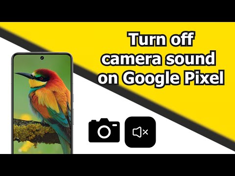 Make your Pixel camera silent |A step-by-step guide