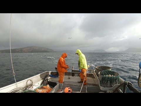 Halibut Fishing - West Side of the Island