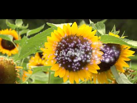 (KARAOKE) Cá Hồi Hoang - Bandamusical