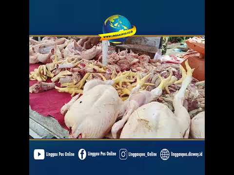 Harga Daging Ayam di Lubuk Linggau Turun