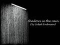 Sidsel Endresen - Shadows in the rain 