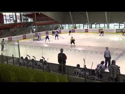 24 01 2016 14 40 UPC Vienna Capitals  3   2    VASAS Budapest