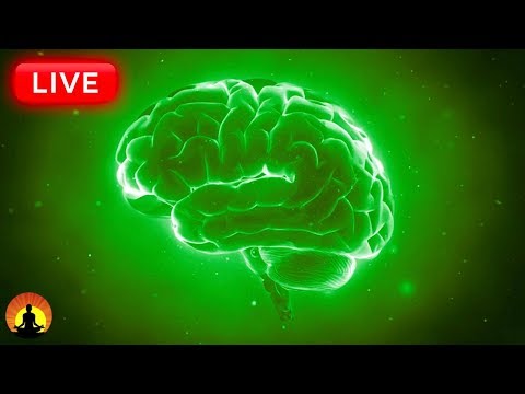 🔴 Concentration Frequency 24/7: Focus Music for Studying