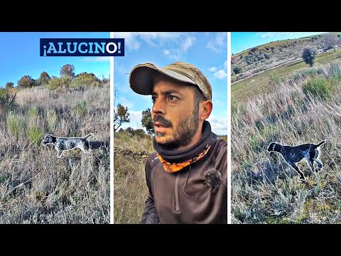 𝐄𝐥 𝐝í𝐚 𝐪𝐮𝐞 𝐦á𝐬 𝐯𝐞𝐨 𝐝𝐞 𝐭𝐨𝐝𝐚 𝐥𝐚 𝐭𝐞𝐦𝐩𝐨𝐫𝐚𝐝𝐚😲 Caza Menor con Perro al Salto 2024