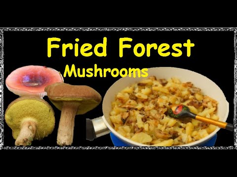 Fried Forest Mushrooms / Book of recipes / Bon Appetit