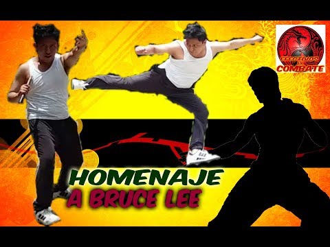 Homenaje a bruce lee .