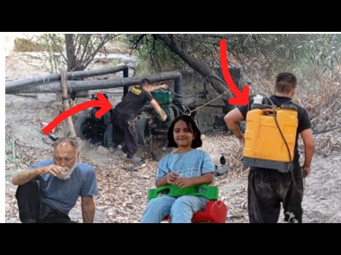 🌱 "A simple day with Yasna; from hot tea to the smell of the earth and the garden"