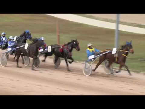 2022.11.12. 11. futam - ADAI DÍJ