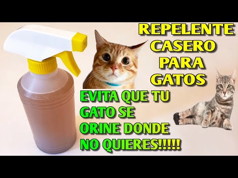 How to Prevent Your Cat from Urinating HOW TO MAKE HOMEMADE CAT REPELLENT Very easy, fast and eff...