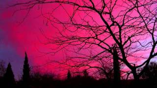 OFFICIUM TRISTE - A Flower In Decay .