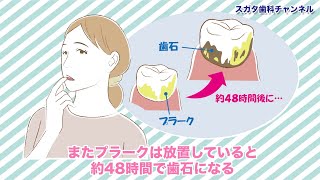 医療法人社団　スガタ歯科医院