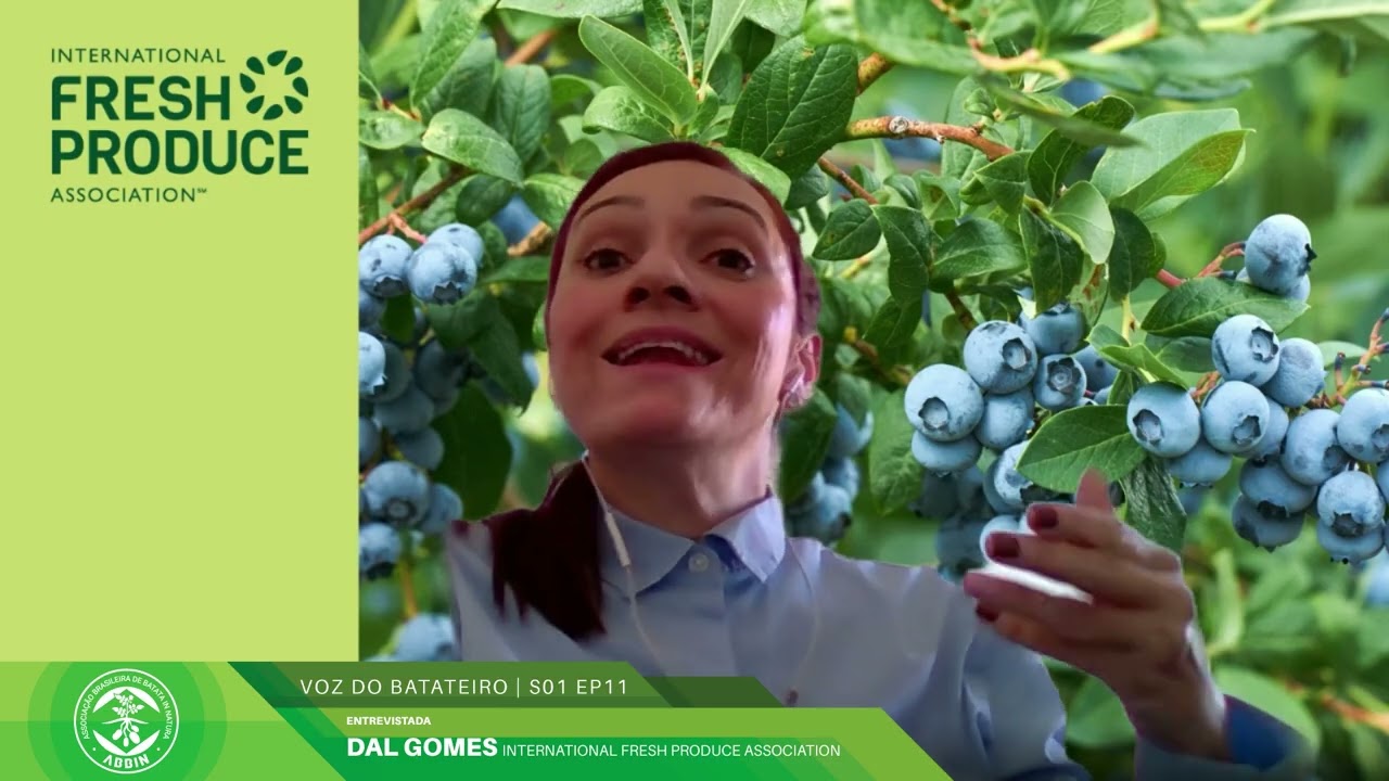 Dal Gomes (IFPA Brasil) fala sobre varejo e como diferenciar a batata brasileira no hortifrúti