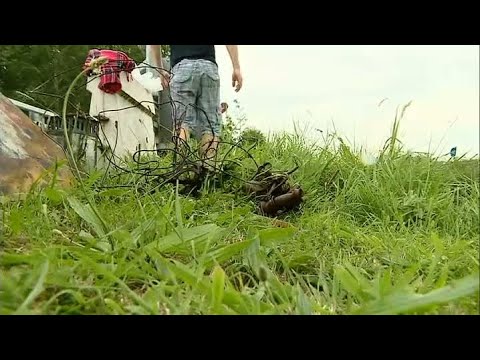 GLD Nieuws 4 augustus 2014