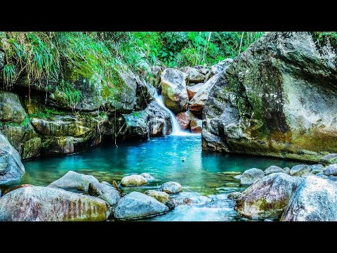Música Relaxante: Flauta Indígena e Sons da Natureza - Acalmar a Mente e Relaxar