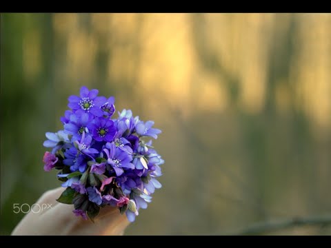 Dincolo de apusuri cu sufletul în palmă