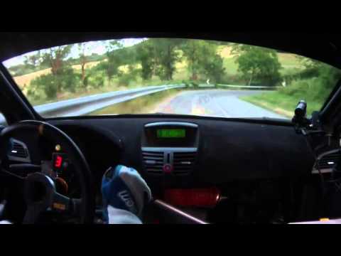 CameraCar Rally Circuito di Cremona 2013 Benoni - Berisonzi Peugeot 207 S 2000 2° Assoluti