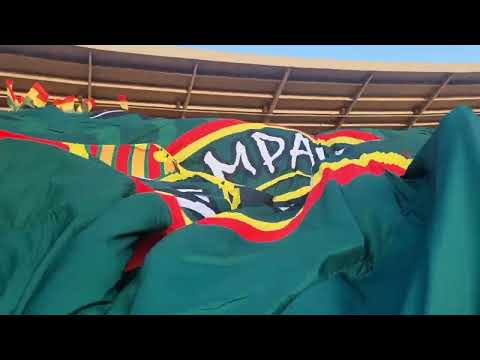 Torcida Sampaio ROOTS e Torcida Tubarões da Fiel, Sampaio Corrêa 2x0 Chapecoense, 28ª rodada SB 2023