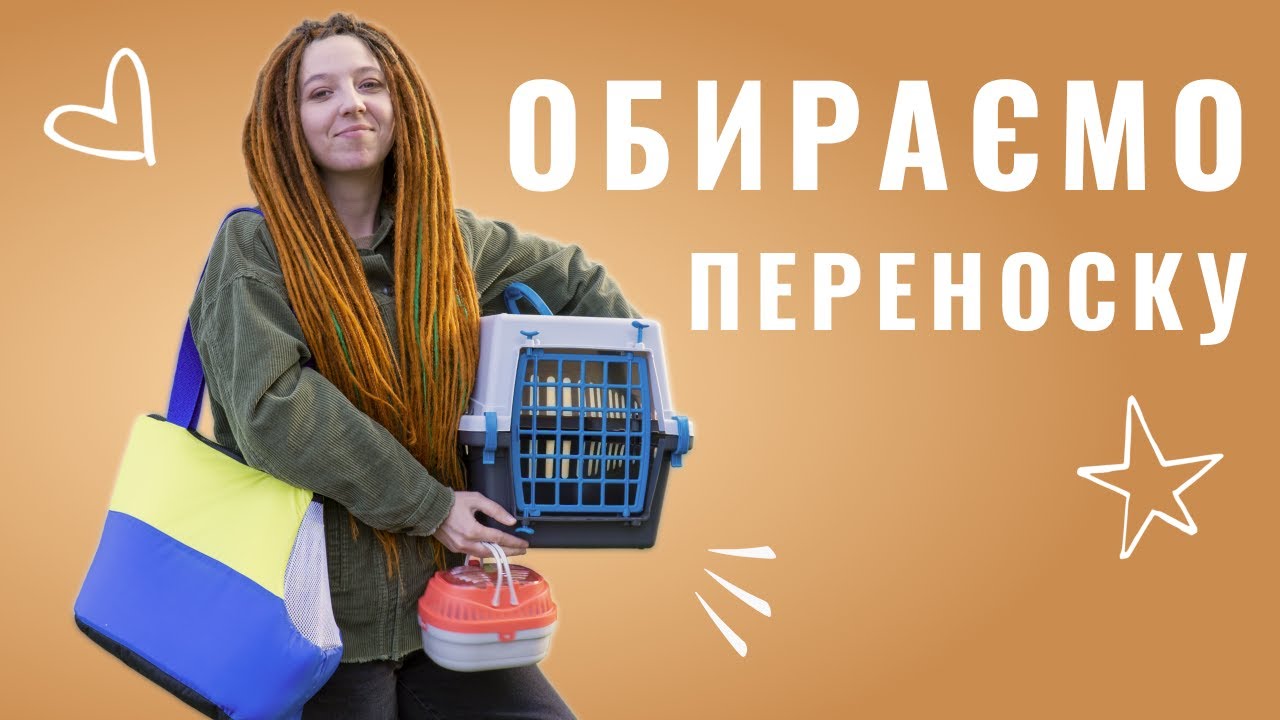 YouTube video preview