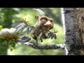 Fasolki - Dziub Dziub 