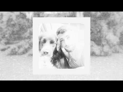 Brother Green Bear - primeaux & mike